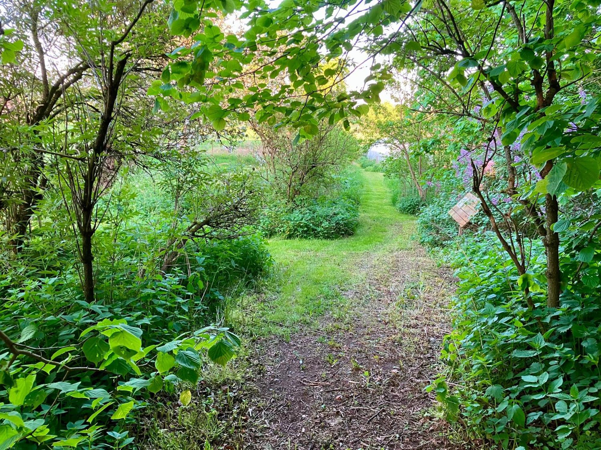 فيمربي Lidhem Herrgard. Bed & Breakfast Och Mindre Lagenheter المظهر الخارجي الصورة