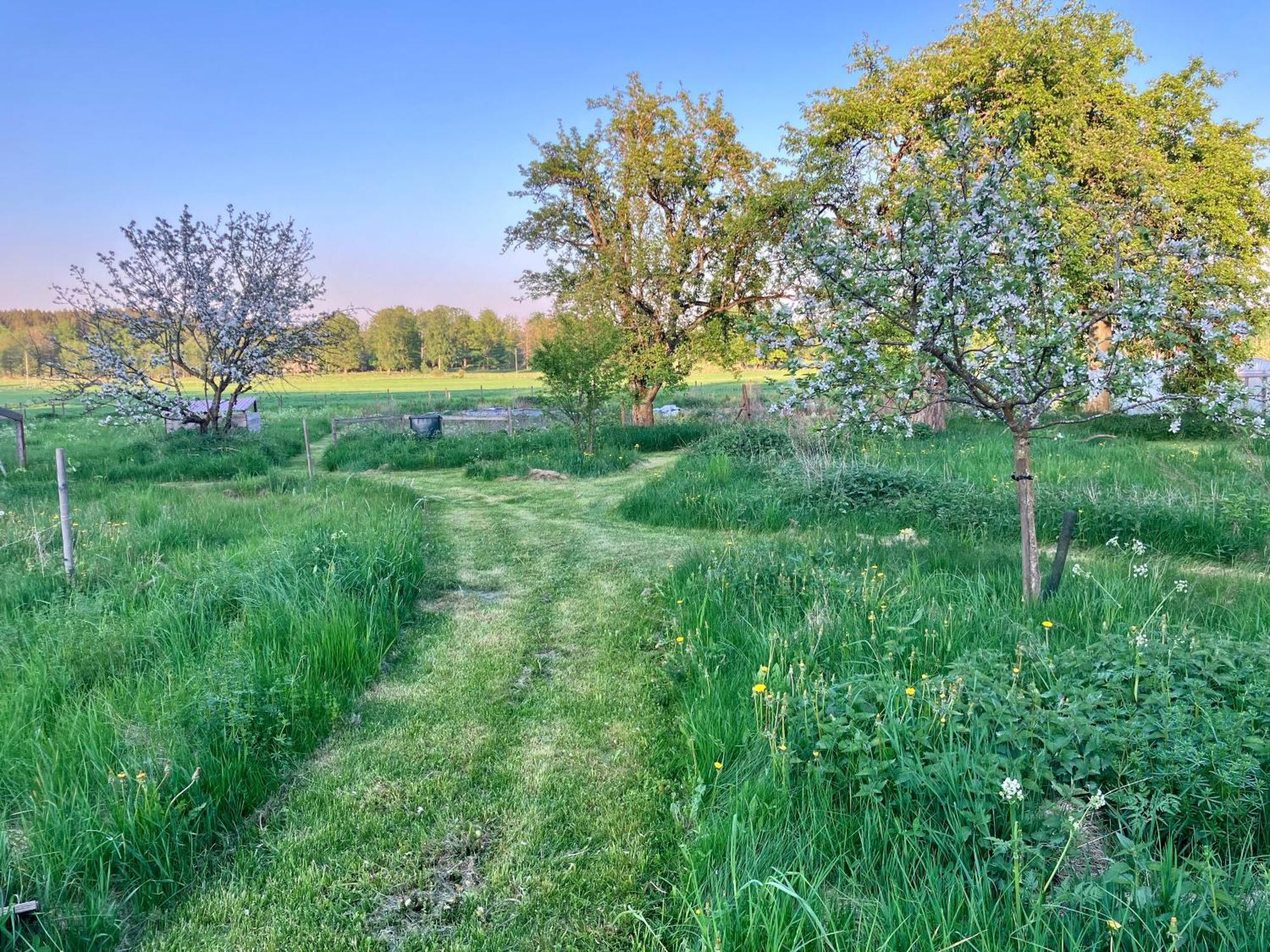 فيمربي Lidhem Herrgard. Bed & Breakfast Och Mindre Lagenheter المظهر الخارجي الصورة