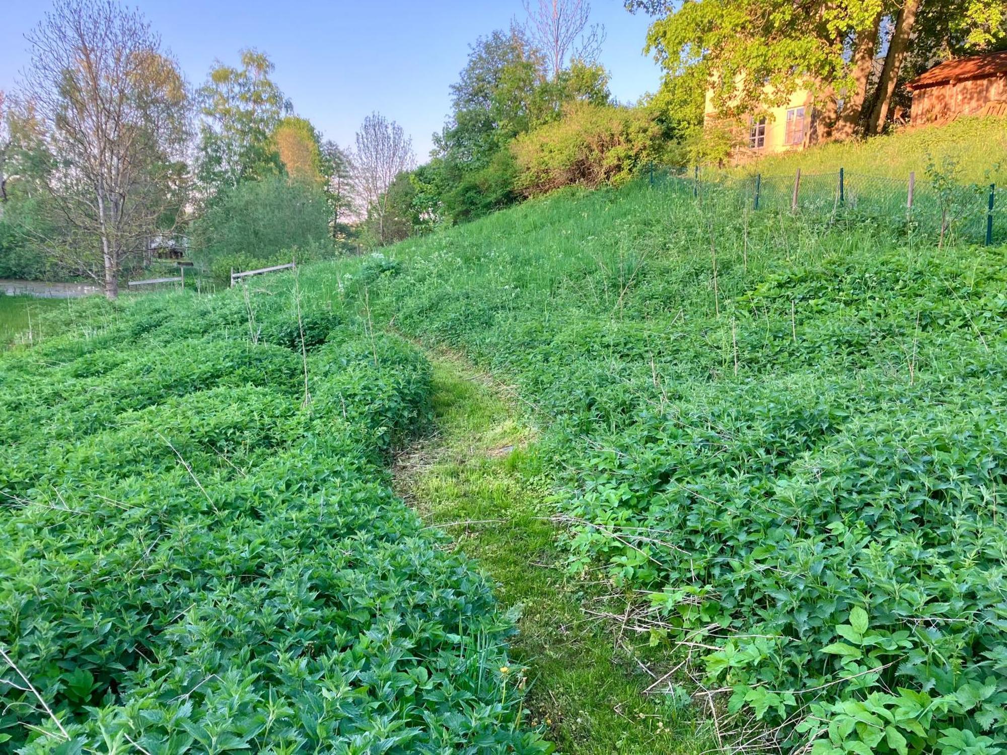 فيمربي Lidhem Herrgard. Bed & Breakfast Och Mindre Lagenheter المظهر الخارجي الصورة