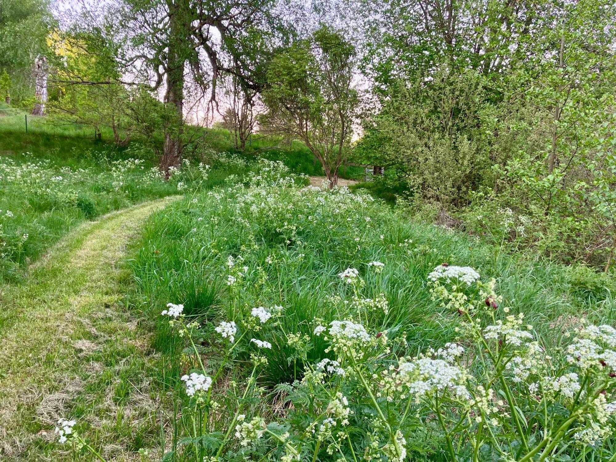 فيمربي Lidhem Herrgard. Bed & Breakfast Och Mindre Lagenheter المظهر الخارجي الصورة