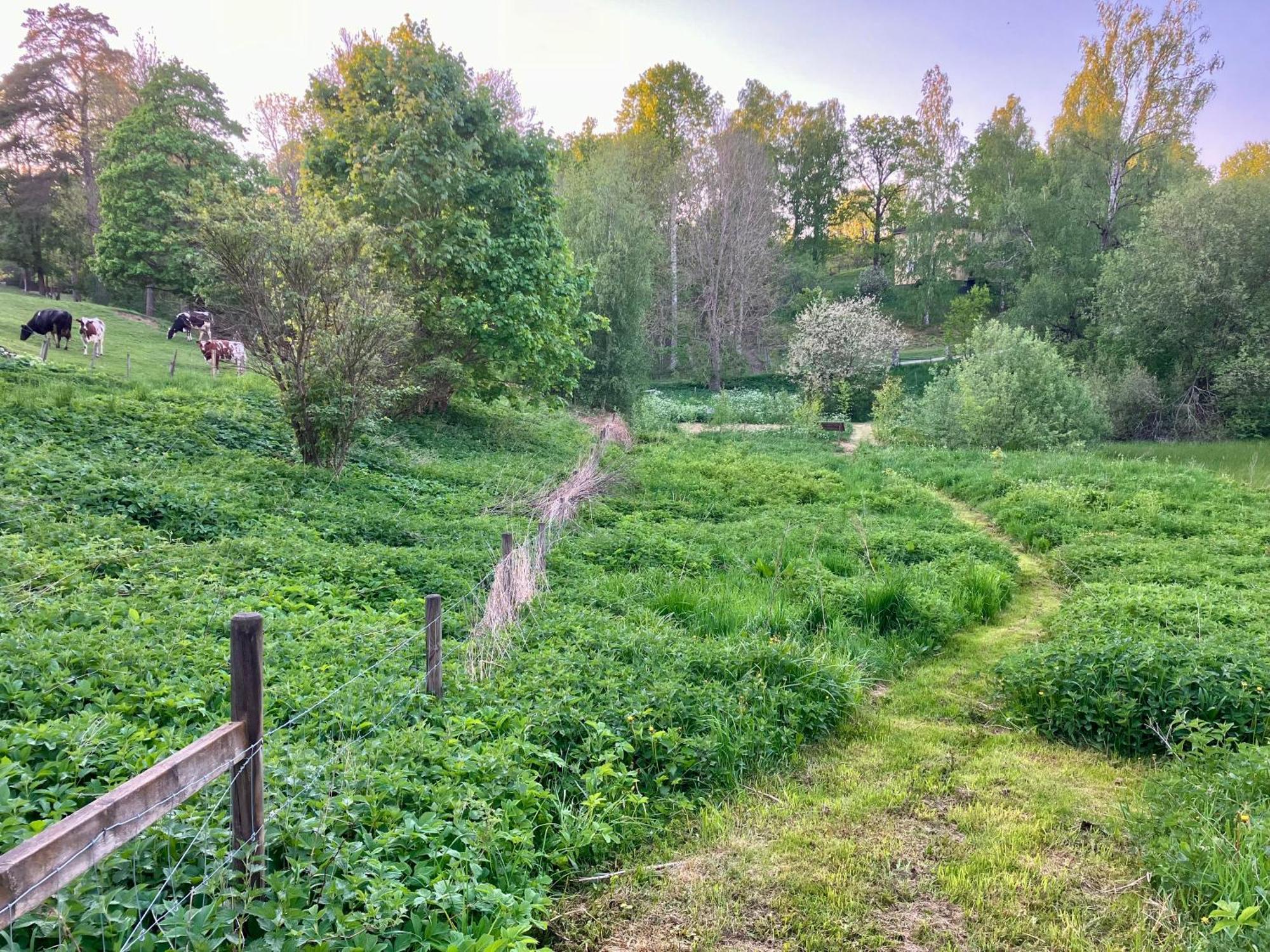 فيمربي Lidhem Herrgard. Bed & Breakfast Och Mindre Lagenheter المظهر الخارجي الصورة