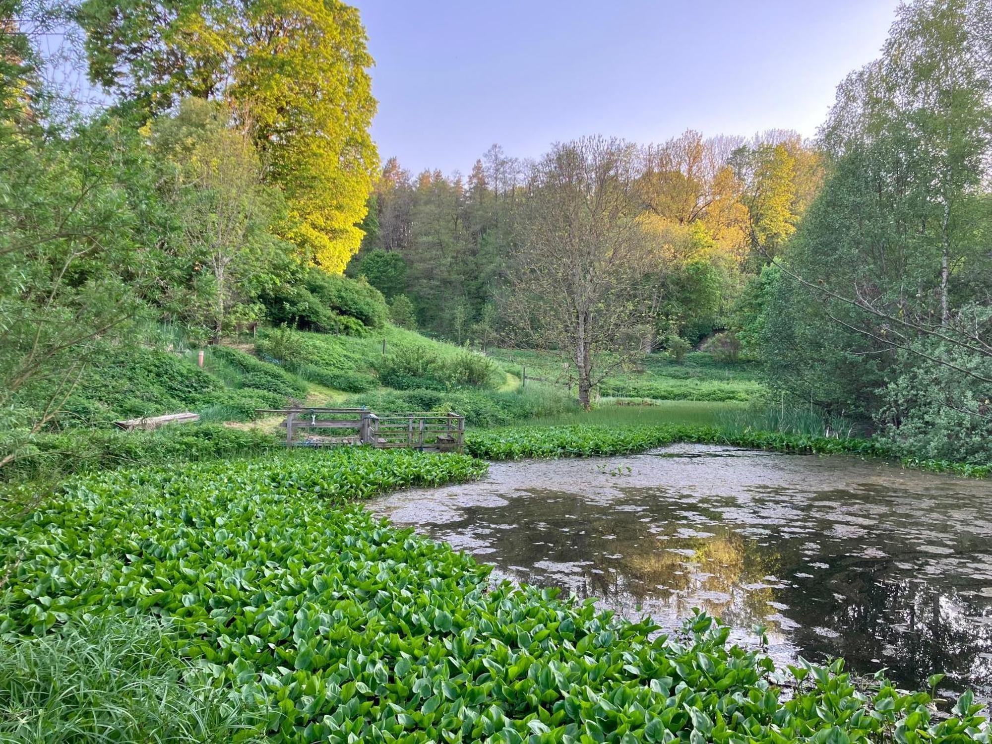 فيمربي Lidhem Herrgard. Bed & Breakfast Och Mindre Lagenheter المظهر الخارجي الصورة