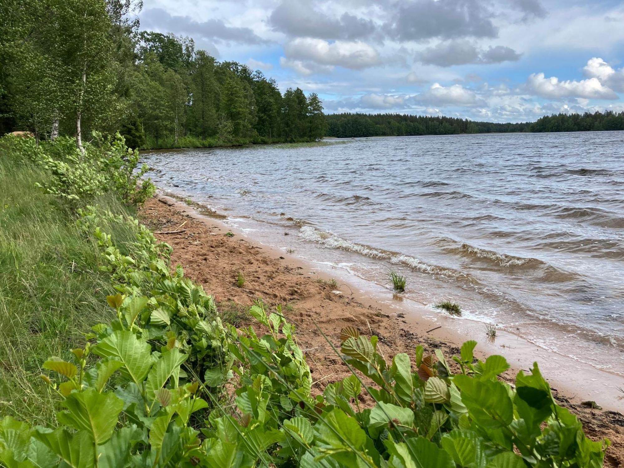 فيمربي Lidhem Herrgard. Bed & Breakfast Och Mindre Lagenheter المظهر الخارجي الصورة