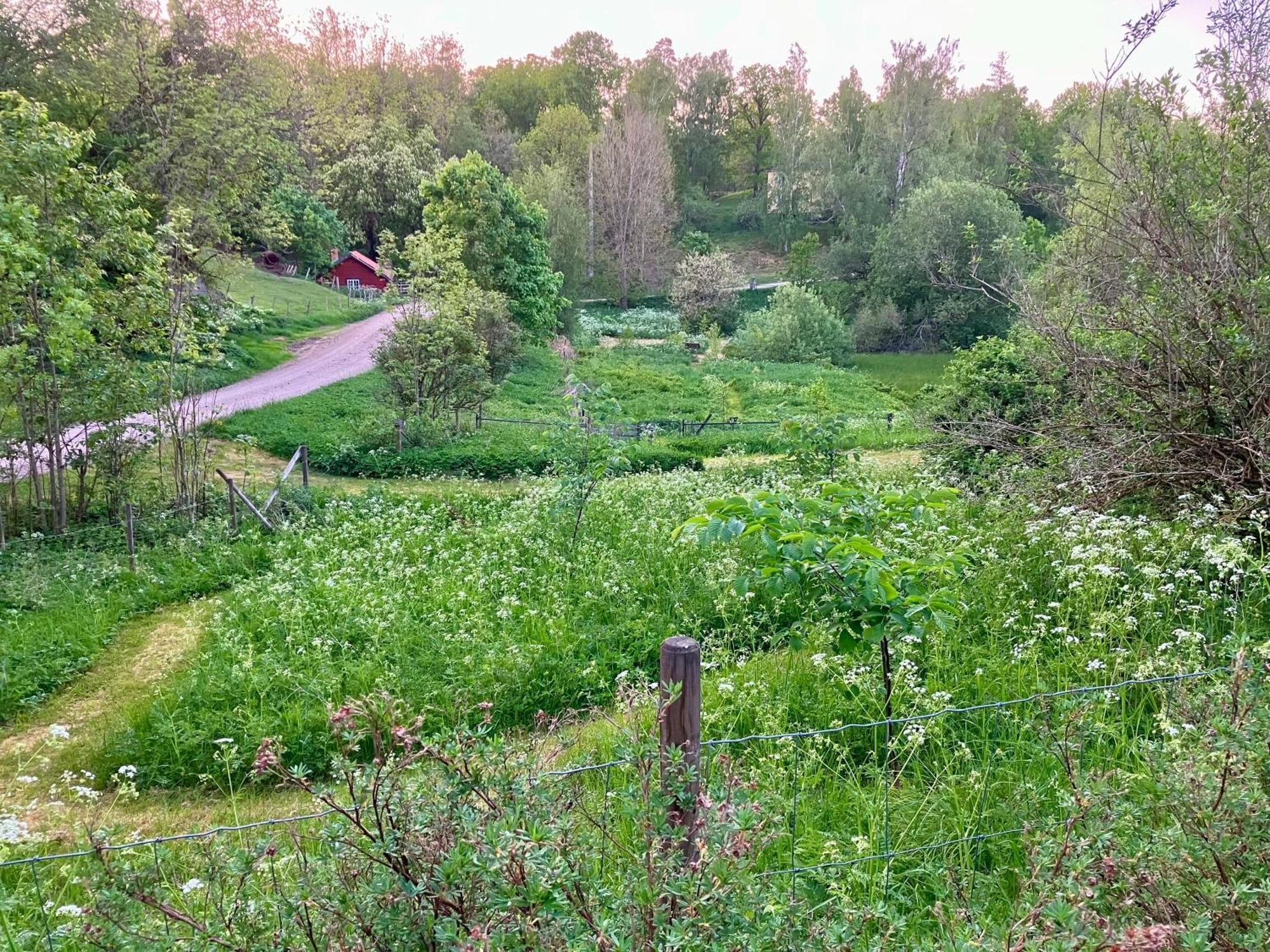 فيمربي Lidhem Herrgard. Bed & Breakfast Och Mindre Lagenheter المظهر الخارجي الصورة