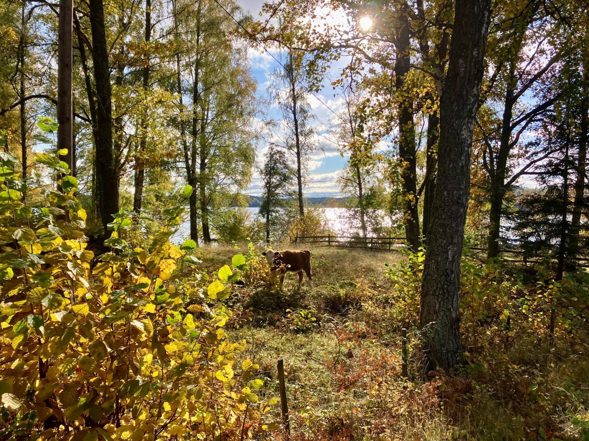 فيمربي Lidhem Herrgard. Bed & Breakfast Och Mindre Laegenheter المظهر الخارجي الصورة
